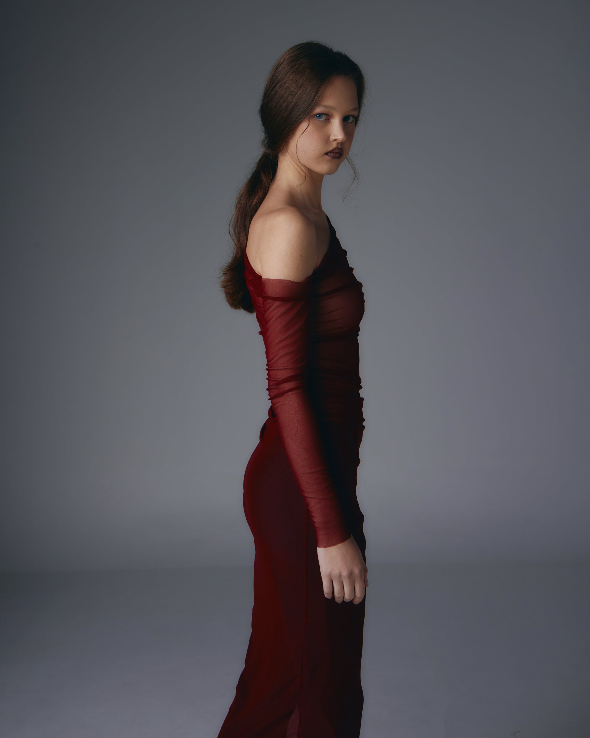 Akasha see-through mesh dress.