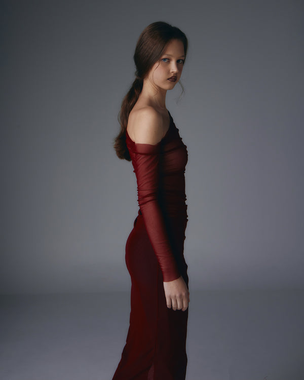 Akasha see-through mesh dress.