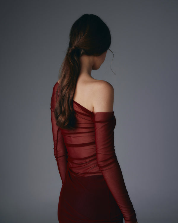 Akasha see-through mesh dress.